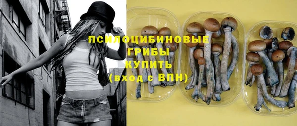 mdpv Магас