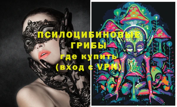 гидра Белокуриха