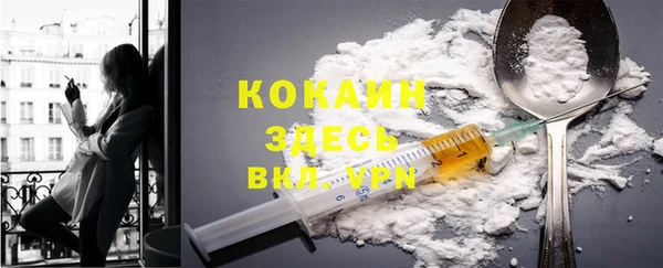 мет Протвино