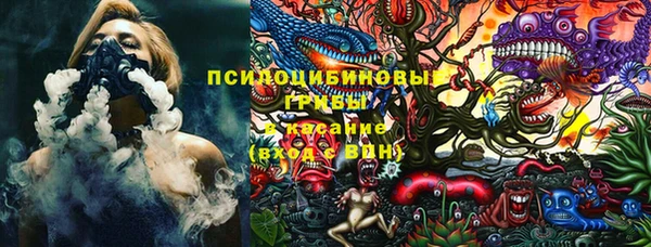 трава Осинники