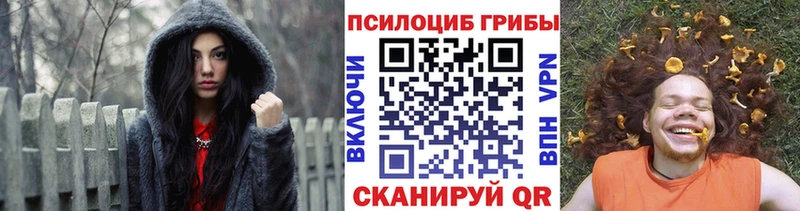 KRAKEN рабочий сайт  Чайковский  Псилоцибиновые грибы мухоморы 