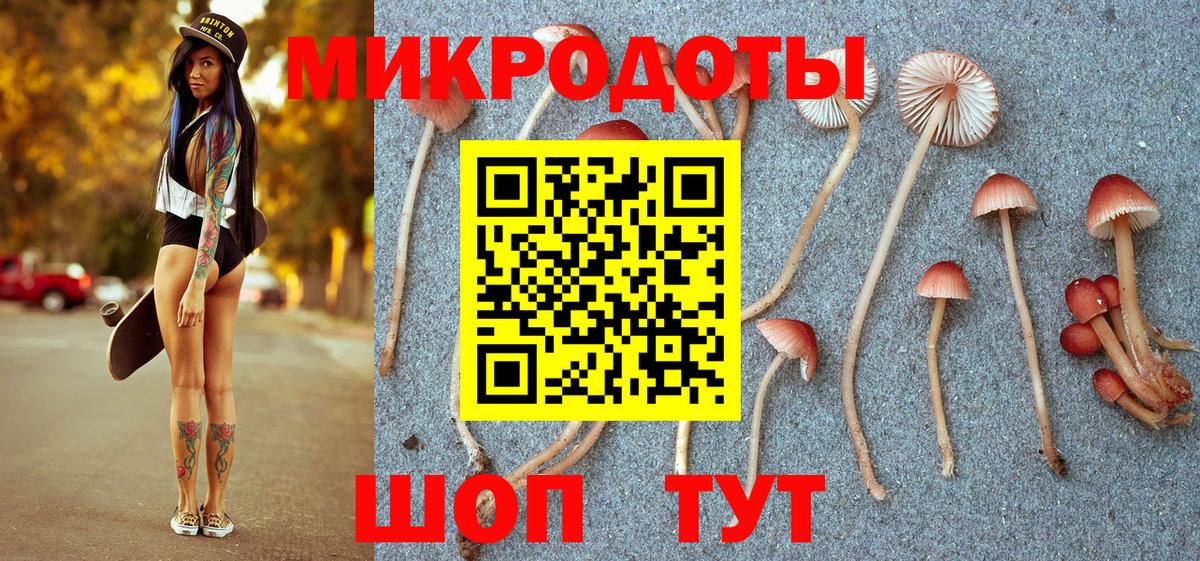 закладки  Вход с VPN  Чайковский  Псилоцибиновые грибы Magic Shrooms 