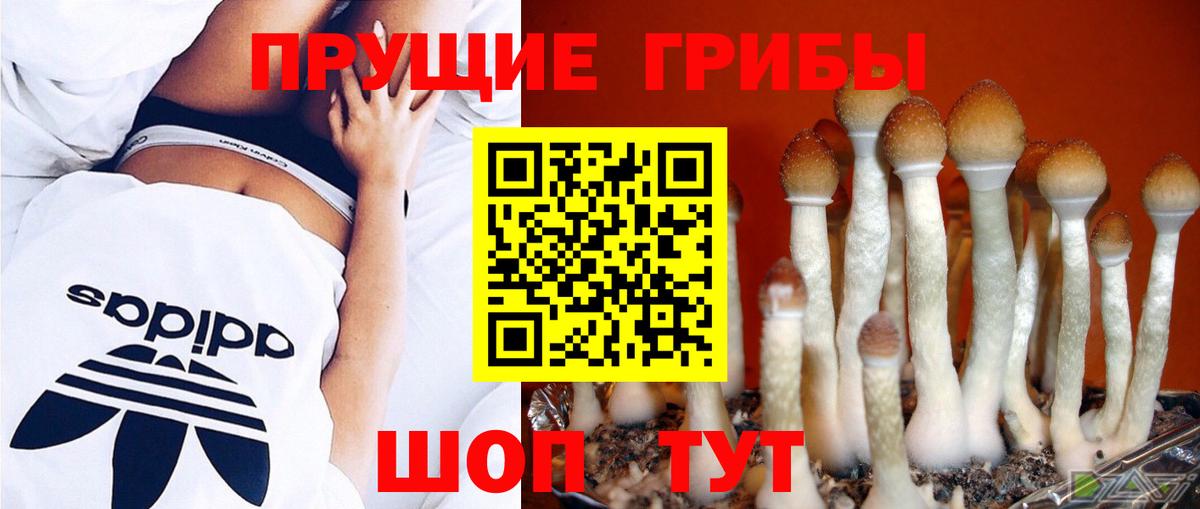 Героин  НБОМе  Вход с VPN  МЕФ кристаллы  Чайковский  Гашиш  Канабис  Экстази  ГАШИШ  Альфа ПВП СК   Метамфетамин 